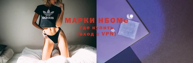 ПСИЛОЦИБИНОВЫЕ ГРИБЫ Арсеньев