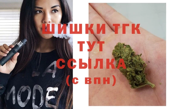 сатива Алзамай