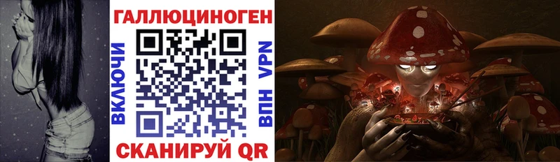 KRAKEN ССЫЛКА  Себеж  Псилоцибиновые грибы мицелий 